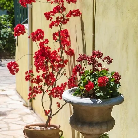 Spiros Sea View * Nydri (Lefkada)