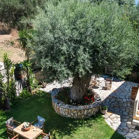 Spiros Sea View Herberg *