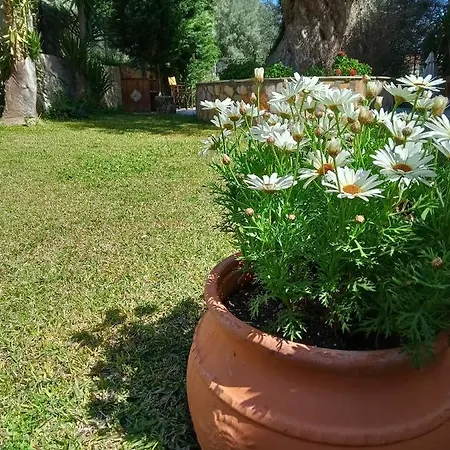 Spiros Sea View Nidrí