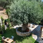 Spiros Sea View Herberg *