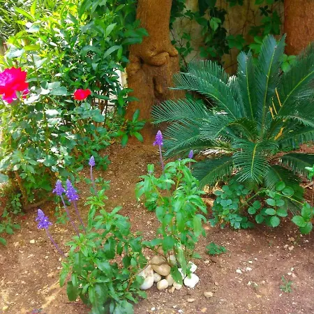 Spiros Sea View Πανδοχείο