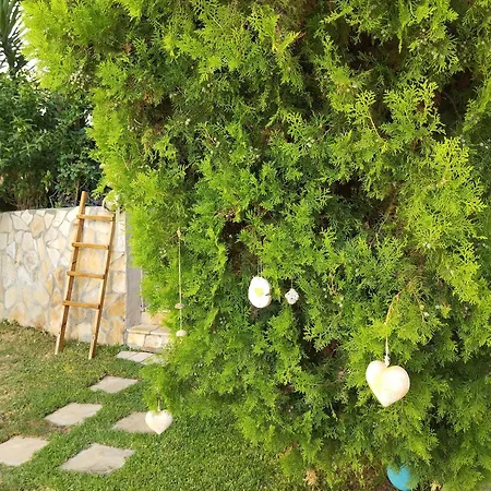 Spiros Sea View Inn Nydri (Lefkada)